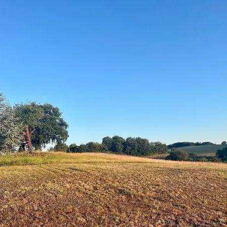 Les Vallons De Gascogne Holiday home Bazian