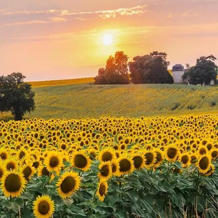 Les Vallons De Gascogne